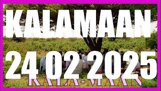 KALAMAAN 24 FEBRUARY 2025