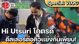 โชคดีสุดในสามโลก เจอ Hi Utsuri มาลงใหม่ๆที่ Shinoda Koi Farm - Special VLOG EZ in Japan EP.3