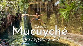 HACIENDA CENOTES MUCUYCHÉ - NUEVA NORMALIDAD - UN PARAÍSO EN YUCATÁN