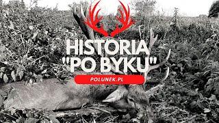 Historia "Po byku" czyli przemyślenia po wypadku