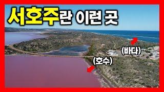 대자연을 느껴보세요 자연의 끝판왕 서호주 여행(2-8) | 세계여행 호주 