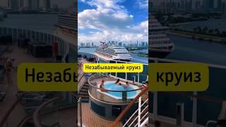 Незабываемый круиз на лайнере#круиз #круизповсемумиру #тревел #путешествия #круиз #германия