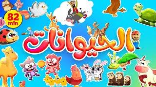 أكثر من ساعة من أغاني بيبي مع الحيوانات