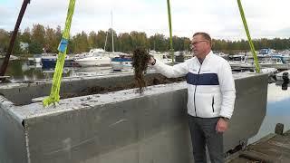 Collecting Eurasian Watermilfoil