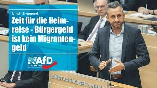 Ulrich Siegmund: Zeit für die Heimreise - Bürgergeld ist kein Migrantengeld