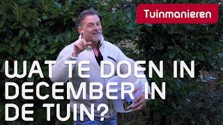 Wat te doen in december, de beste tips | Tuinmanieren