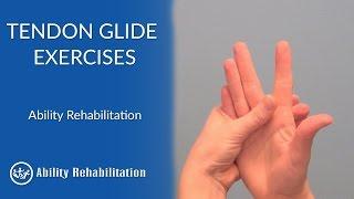 Tendon Glide Exercises | Ability Rehabilitation