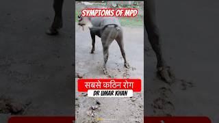 Symptoms of MPD l dr Umar Khan