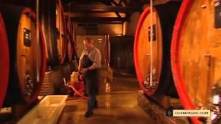 Winemaking: fermentation