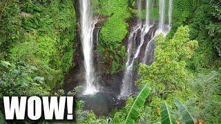Schönster Wasserfall auf Bali und Tempel | VLOG 133