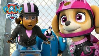 Moto Pups save Mayor Goodway from the Ruff Ruff Pack! - PAW Patrol UK Cartoons for Kids Compilation