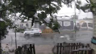 【4K】Rain in Rabbittown, St. John's, Newfoundland and Labrador. HDR, ASMR mode on.