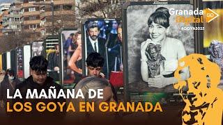 Goya 2025 | Granada se levanta con ganas de celebrar los Goya