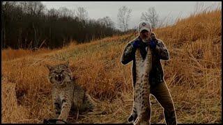 Catching More Bobcats with This Set! Trapping a Kentucky Hunting Lease Continued.