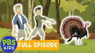 Wild Kratts FULL EPISODE |  Happy Turkey Day!  | PBS KIDS