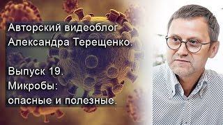 Авторский видеоблог Александра Терещенко. Выпуск 19.  Микробы: опасные и полезные