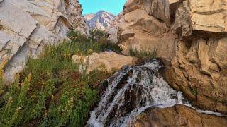 Rugged and Overgrown Hike to this 1800's Ghost Town (Part 1)