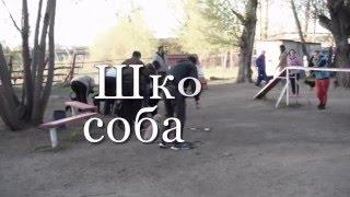 Школа собачья