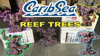 Caribsea Coral Tree Build