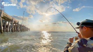 Fishing UNDER The Pier? Easy way to get on fish!