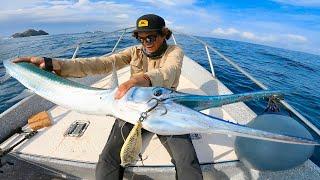 MUCHO CUIDADO Si Pescas un Gigante de estos! | Pesca en el Mar