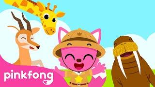 ¡Jambo Animales! | Canción de Animales para Niños | Pinkfong Canciones ​Infantiles