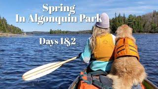 Spring In Algonquin Park, a Four Day Canoe Camping Trip, Trout Fishing and Paddling