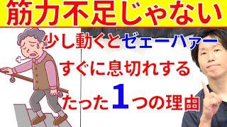 老化現象ではない少し動くだけでゼェ～ハァ～すぐに息切れするたった1つの理由と解消法!