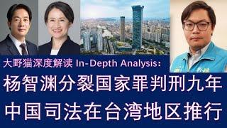 野猫论政 2002：台独分子杨智渊，分裂国家罪被判处九年有期徒刑；中国司法，在台湾地区推行