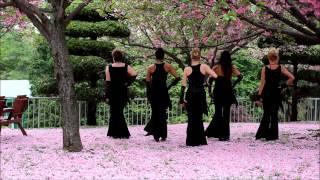 Fusion Jazz Belly Dance by Yulia/Ulsan 2015