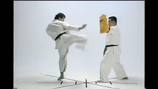 Andreas “Andy” Hug: The Swiss Samurai Who Revolutionized Kyokushin Karate and Heavyweight Kickboxing