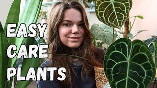 EASY UNCOMMON HOUSEPLANTS | No Fuss Indoor Plants