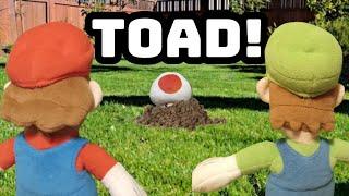 YL Movie: Toad!