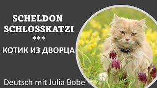 Scheldon Schlosskatzi. Котик из дворца | Жизнь в Германии | Deutsch mit Julia Bobe