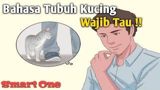 Cara Berkomunikasi dengan Kucing | Bahasa Tubuh Kucing