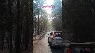 Amarkantak road || short video || Sahil Kumar vlogs02 || 