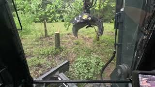 Using the Rotobec grapple saw to clear trees