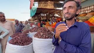 Kana Yaari Live: Wahab Bugti In The Aftermath of Balochistan Floods, 2022.@ExplorEastToursnTreks