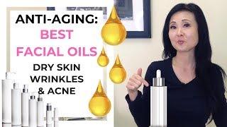 Best Facial Oils