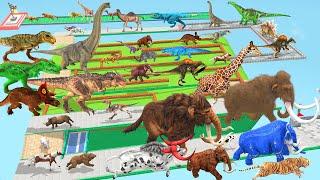 Which Animal vs Dinosaurs Speed Race Run Zigzag Maze Course! from Outside Animal Revolt Battle Simul