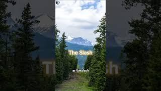 World's Longest But Most Undefended Border in the World