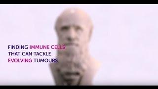 Finding immune cells that can tackle evolving cancers | Immunotherapy | Cancer Research UK