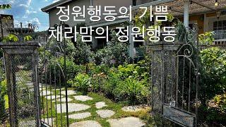 바크(멀칭)을 잘 했다고 생각해요_채라맘의 정원행동