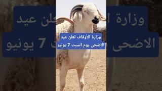 وزارة الأوقاف تعلن عيد الاضحى يوم السبت 7 يونيو#أخبار_المغرب#المغرب#عيد_الاضحى#شاهد#news#morocco