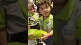  Supermarket Adventure at Curious Learners Preschool! 