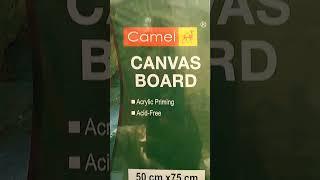 Rs 350 Canvas Board  Camel size 30x20 inch