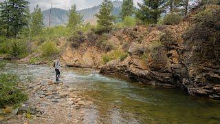 Exploring Tributaries for IDAHO'S Rarest Fish | Bull Trout Fly Fishing