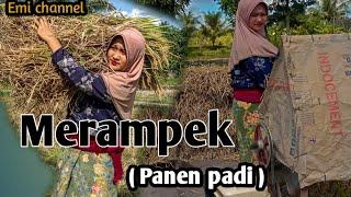 Vidio Merampek ( panen padi+nasehat)