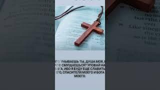 БОГ ИЗБАВИЛ НАС ОТ ЦАРСТВА ТЬМЫ#рек #bibel #bible #shorts #biblevision #germany #short #шортс #реки