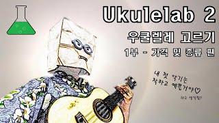 [우쿨렐레 연구소 - Ukulelab.2] 우쿨렐레 고르기 (1부) - 가격 및 종류 편